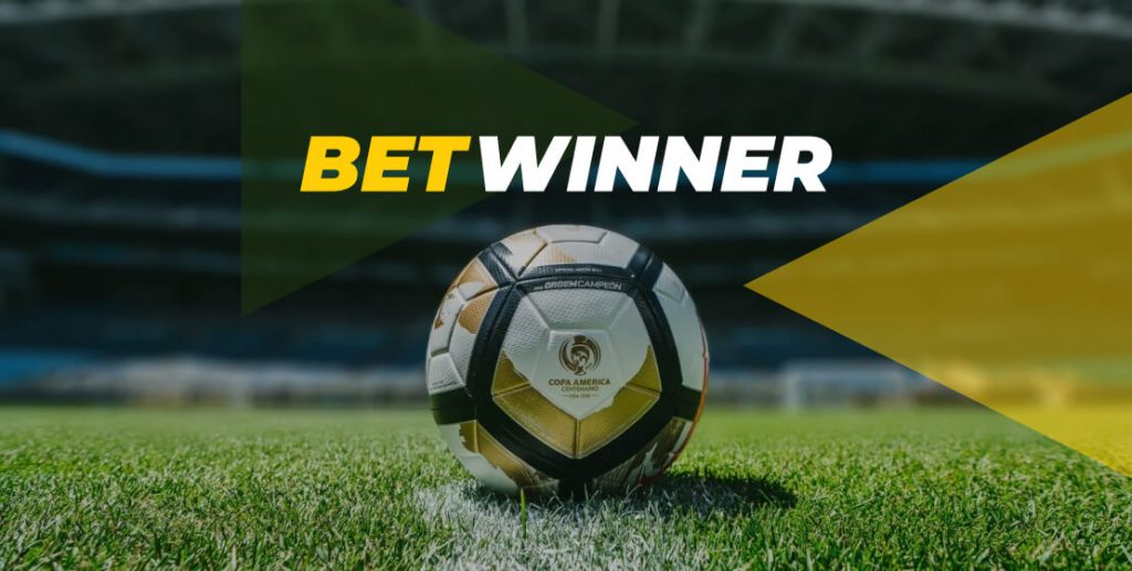 Exploring the World of Betwinner Casino Your Ultimate Guide